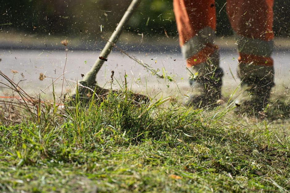 Risvegliare il prato a marzo: arieggiatura, risemina e prime cure