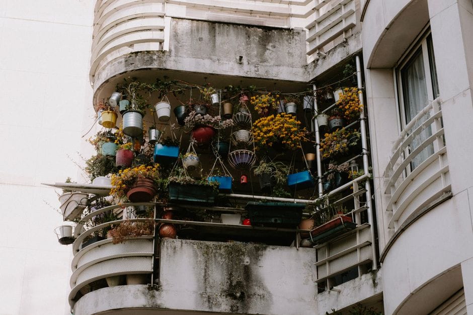 Piante in vaso e primo freddo: proteggere il balcone prima delle gelate