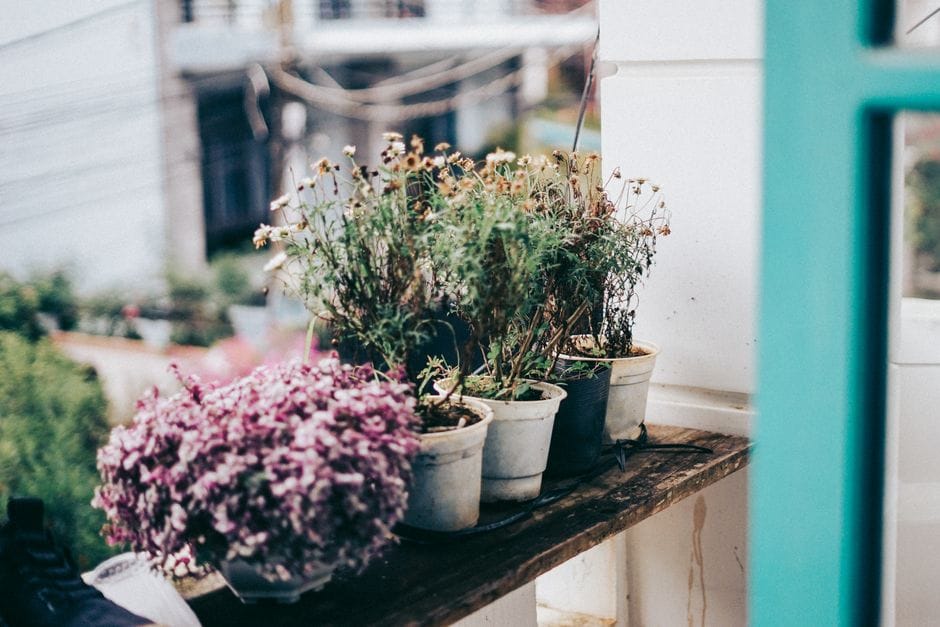 Orto verticale e soluzioni salvaspazio per il balcone
