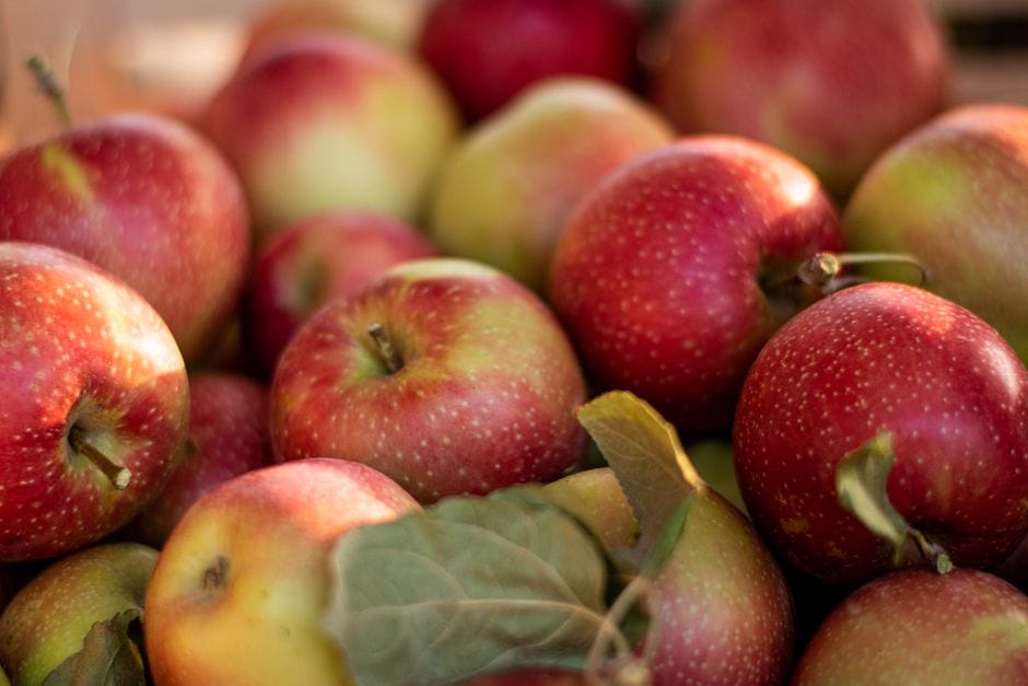 La dispensa d'autunno: conservare mele e frutta senza sprechi