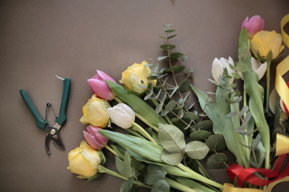 Potatura d'autunno: quando intervenire su rose e arbusti