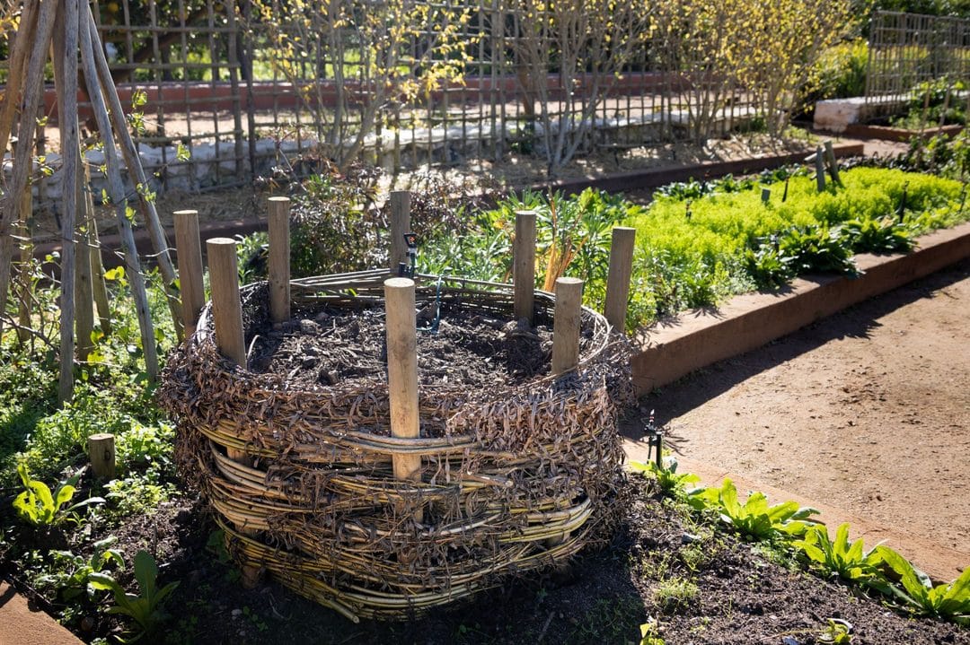 Compostaggio domestico di fine estate: come iniziare ad agosto con gli scarti di cucina e giardino