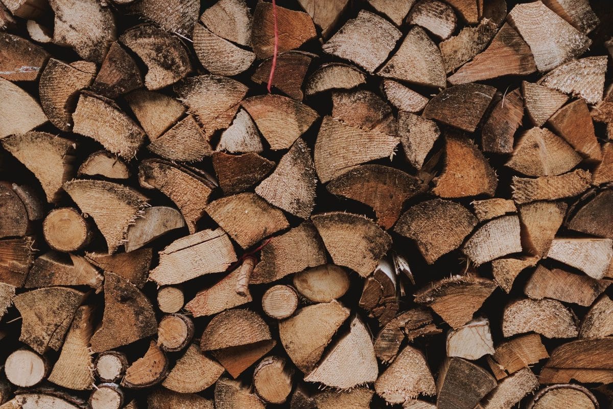 Come conservare la legna da ardere in autunno: la guida contro muffa e cattiva combustione