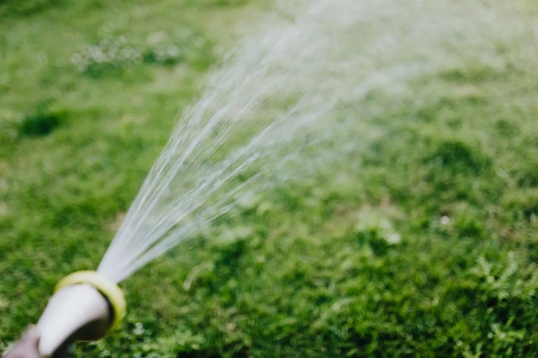 Semina e risemina del prato a settembre: la finestra perfetta per un tappeto verde folto in autunno