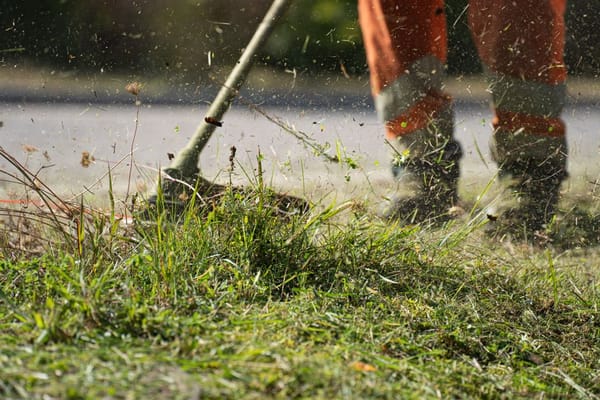 Risvegliare il prato a marzo: arieggiatura, risemina e prime cure