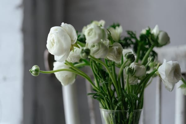 Fiori di stagione per San Valentino: decorare casa con poco