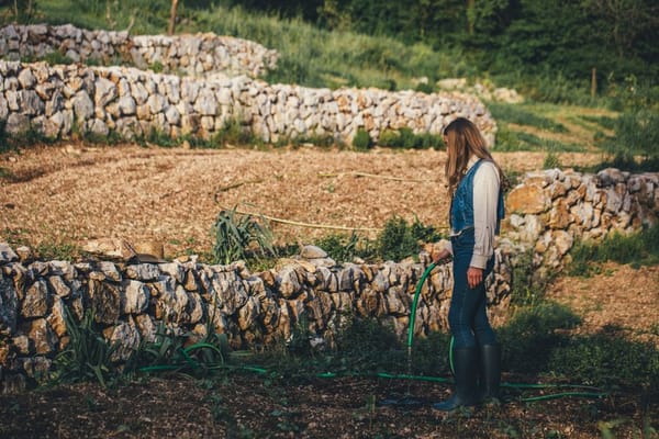 Irrigazione a goccia fai-da-te per orto e vasi