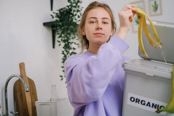 Compostaggio domestico: avviare la compostiera in primavera