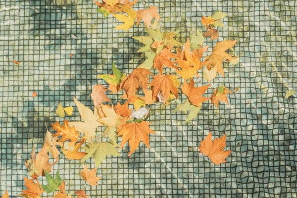 Chiusura della piscina fuori terra a fine stagione: la guida per non ritrovarla rovinata in primavera